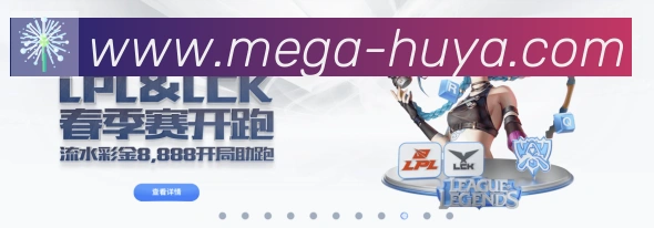 未来规划